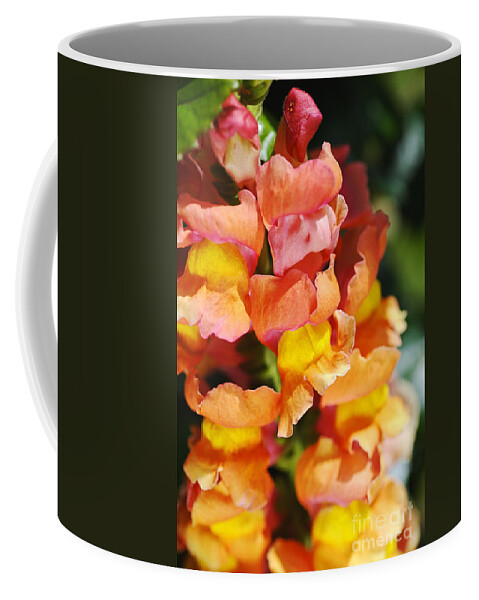 Antirrhinum Coffee Mug featuring the photograph Reddish Golden Snapdragon Flowers by Joy Watson