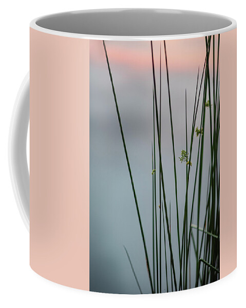 Reed Coffee Mug featuring the photograph Reeds By A Pond by Karen Rispin