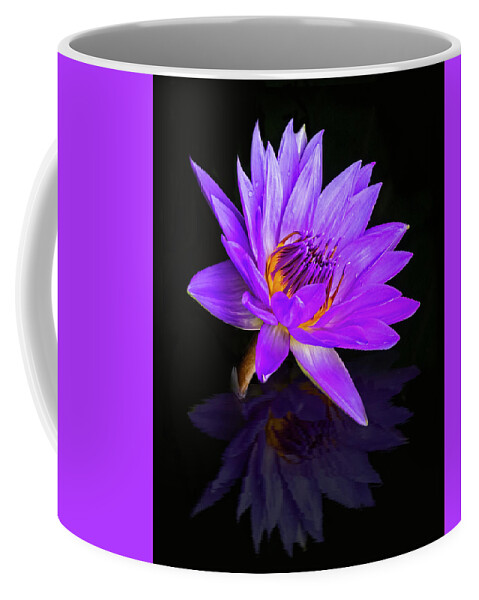 Waterlilies Coffee Mug featuring the photograph Reflecting Waterlily by Susan Candelario