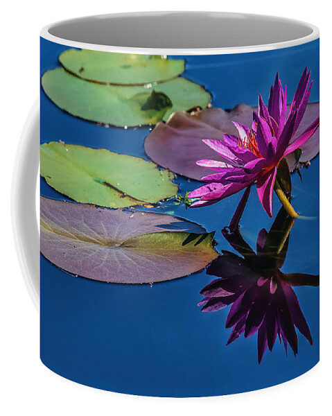 Washington Coffee Mug featuring the photograph Reflection of a Water Lily #3 by Stuart Litoff