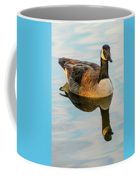 Water Coffee Mug featuring the photograph Reflection of the Goose by Rick Nelson