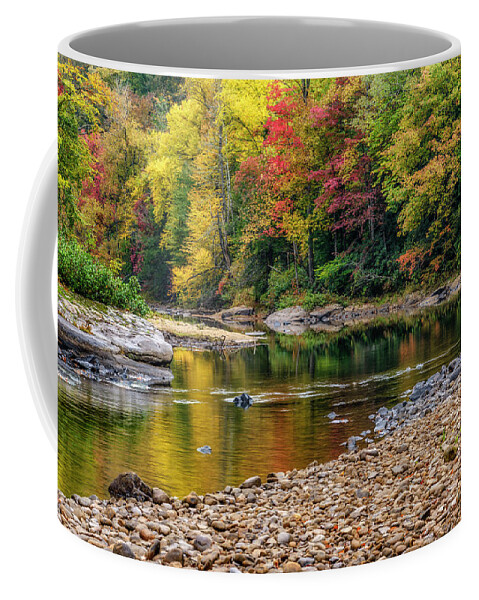 Williams River Coffee Mug featuring the photograph Reflection on Williams River by Thomas R Fletcher