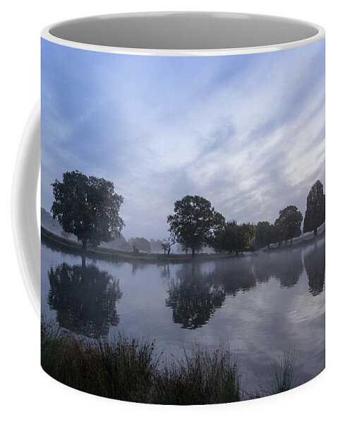 Reflections Coffee Mug featuring the photograph Reflections in Bushy by Andrew Lalchan