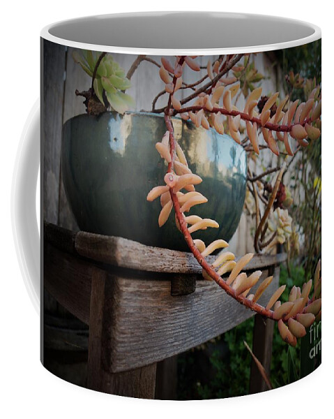Backyard Coffee Mug featuring the photograph Reflections Still Life by Richard Thomas