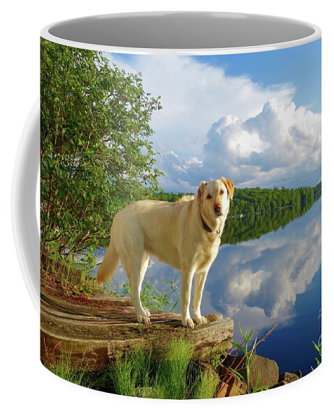 Betsy Coffee Mug featuring the photograph Reflections with Betsy by Sandra Updyke