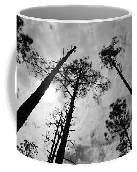 Tree Coffee Mug featuring the photograph Regenerate by Lizette Tolentino