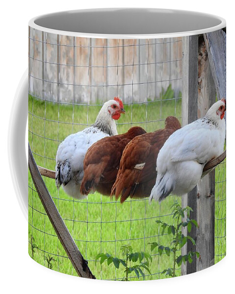 Chickens Coffee Mug featuring the photograph Table for four by Nicola Finch