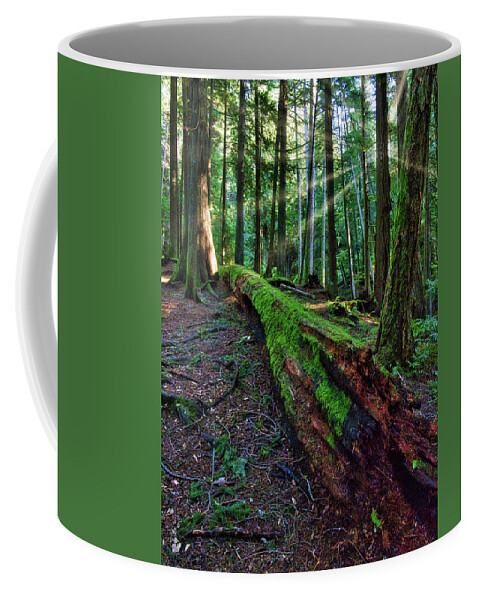 Landscape Coffee Mug featuring the photograph Restful Light by Allan Van Gasbeck