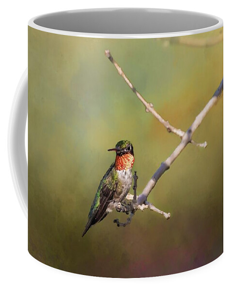 Hummingbird Coffee Mug featuring the photograph Resting Hummingbird by Pam Rendall