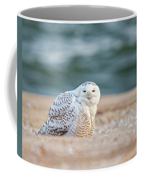 Owl Coffee Mug featuring the photograph Return of Snowy Owl by Cathy Kovarik