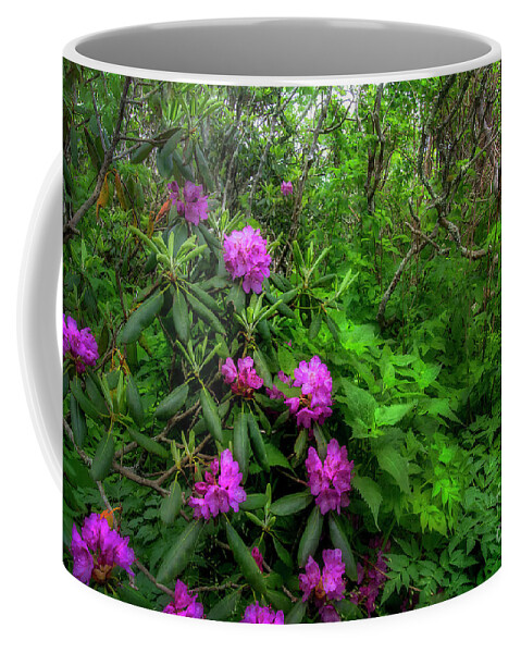 Rhododendron Coffee Mug featuring the photograph Rhododendrons in Spring II by Shelia Hunt