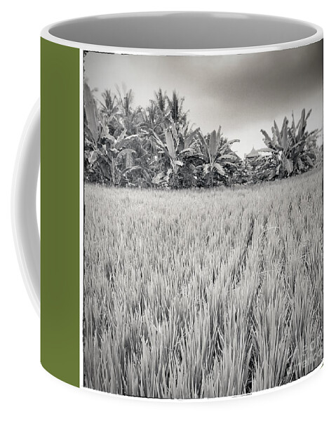 Bali Coffee Mug featuring the photograph Rice Paddy by Wendy Golden