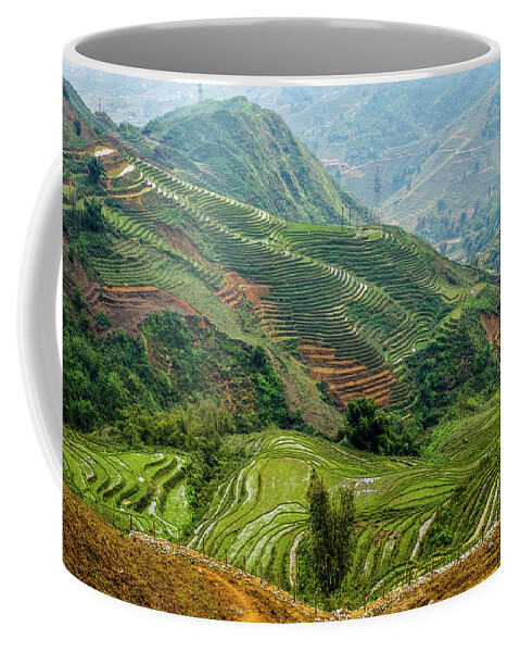 Black Coffee Mug featuring the photograph Rice Terraces of Lao Cai by Arj Munoz