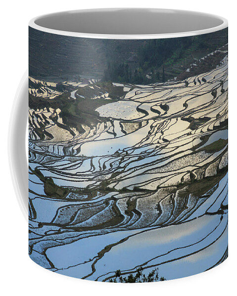 Yuanyang Coffee Mug featuring the photograph Rice terraces Chinese Restaurant Decoration by Josu Ozkaritz