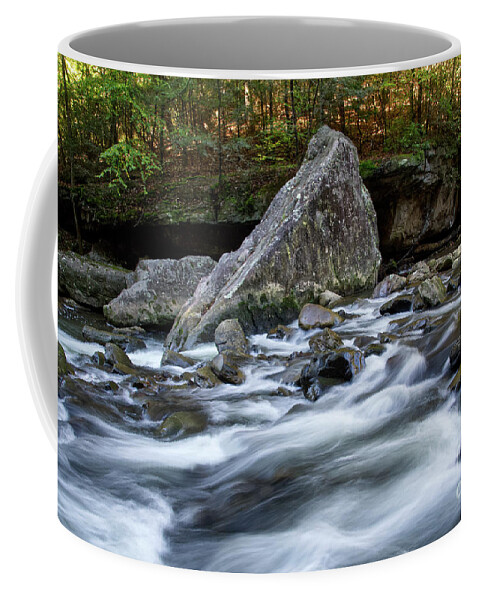 Cumberland Plateau Coffee Mug featuring the photograph Richland Creek 18 by Phil Perkins
