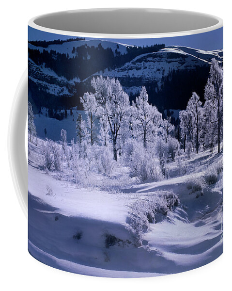 Dave Welling Coffee Mug featuring the photograph Rime Ice On Trees Lamar Valley Yellowstone National Park by Dave Welling