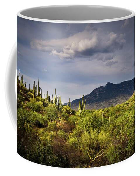 Rincon Peak Coffee Mug featuring the photograph Rincon Peak and Saguaro Cactus Sunset Light, Tucson AZ by Chance Kafka