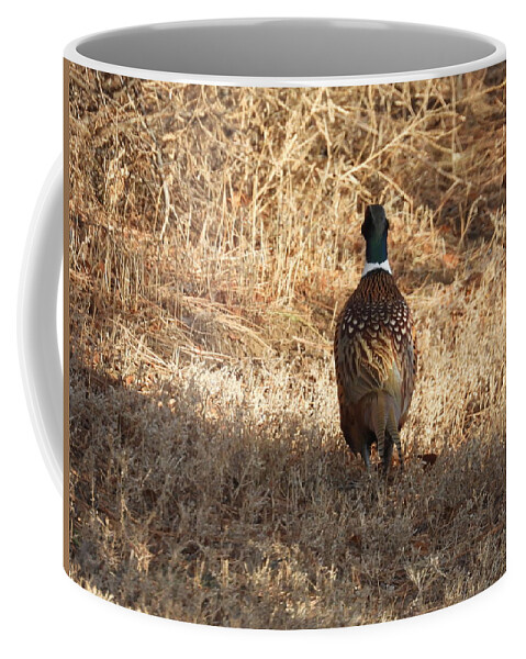 Pheasant Coffee Mug featuring the photograph Ring Necked Pheasant Backside by Amanda R Wright