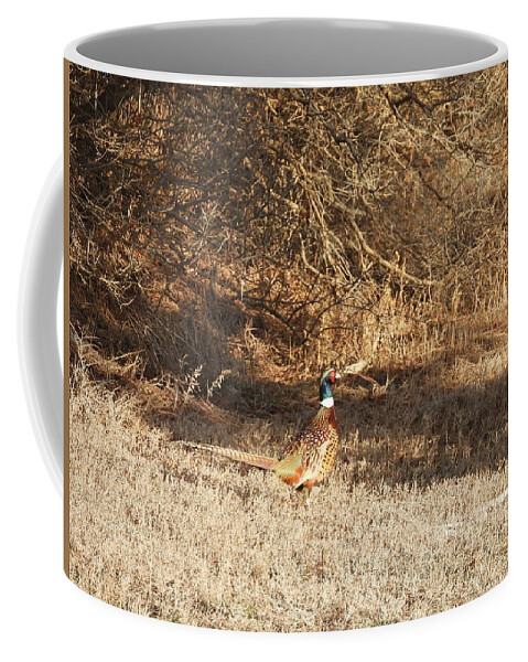 Pheasant Coffee Mug featuring the photograph Ring Necked Pheasant Profile by Amanda R Wright