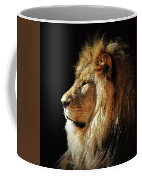 Lions Coffee Mug featuring the photograph RIP Shombay by Elaine Malott