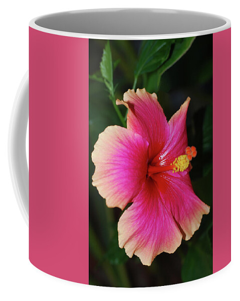 Hibiscus Coffee Mug featuring the photograph Rise and Shine - Hibiscus Face by Connie Fox