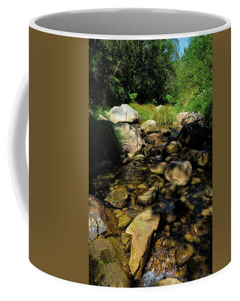 Sao Pedro Do Sul Coffee Mug featuring the photograph River and rocks in Carvalhais 2 by Angelo DeVal