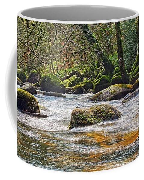 River Dart Coffee Mug featuring the photograph River Dart in winter by Tony Mills
