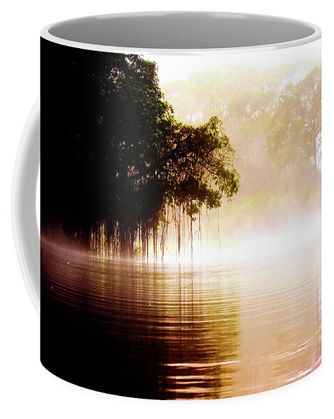River Coffee Mug featuring the photograph River in the fog by Patricia Piotrak