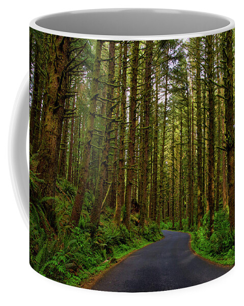 Road Through Ecola State Park Coffee Mug featuring the photograph Road through Ecola State Park by Lynn Hopwood