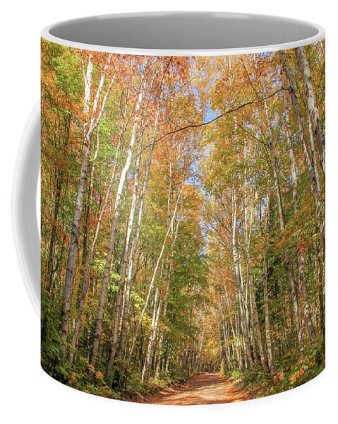 Michigan Coffee Mug featuring the photograph Road to the Trailhead by Robert Carter