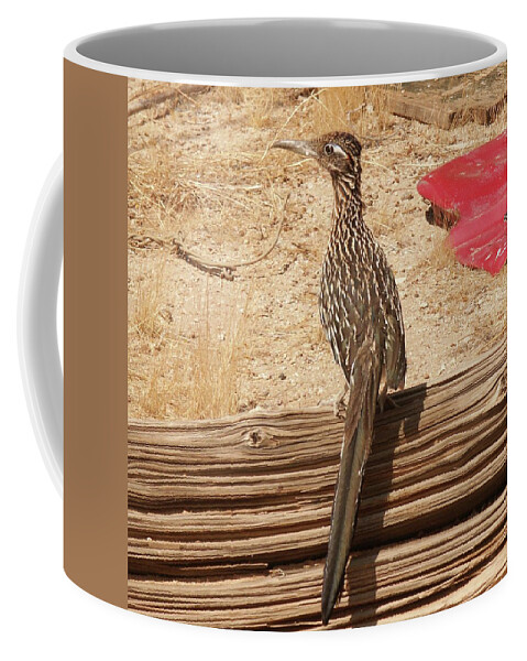 Roadrunner Coffee Mug featuring the photograph Roadrunner by Perry Hoffman
