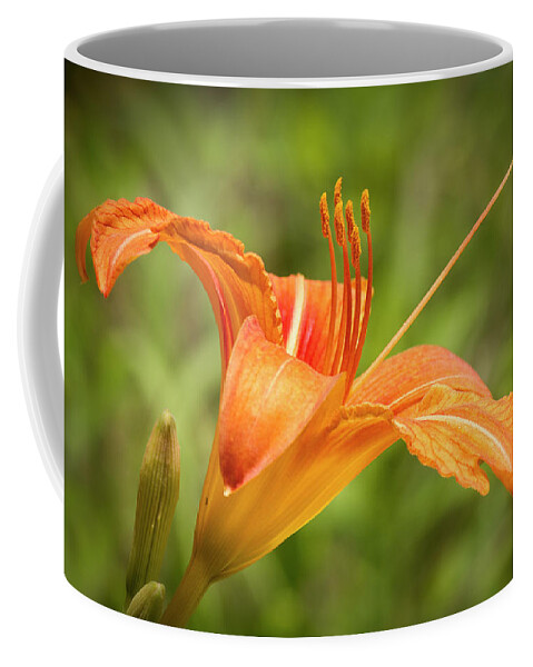 Tiger Lilly Coffee Mug featuring the photograph Roadside Tiger Lilly by Bob Decker