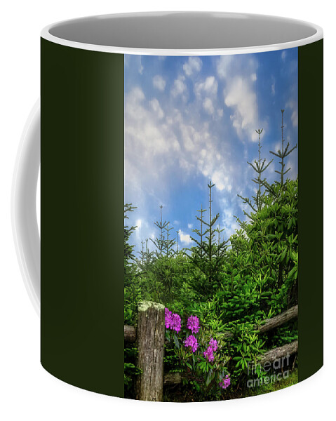 Roan Mountain Coffee Mug featuring the photograph Roan Mountain High by Shelia Hunt
