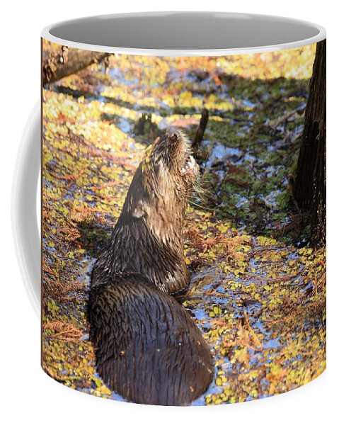 Otter Coffee Mug featuring the photograph Roaring Otter by Mingming Jiang