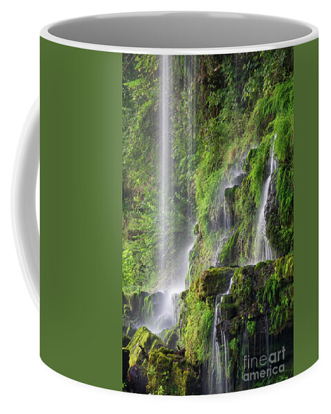 Waterfalls Coffee Mug featuring the photograph Rock Island State Park 23 by Phil Perkins