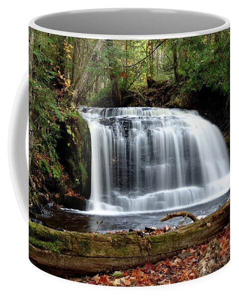Rock River Falls Coffee Mug featuring the photograph Rock River Falls by Kirk Stanley