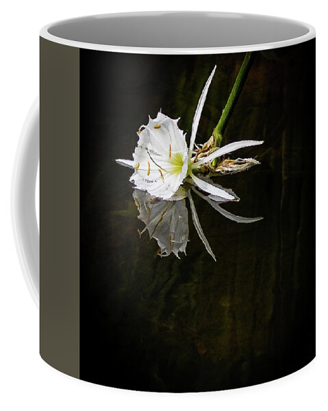 2022 Coffee Mug featuring the photograph Rocky Shoals Spider Lily by Charles Hite
