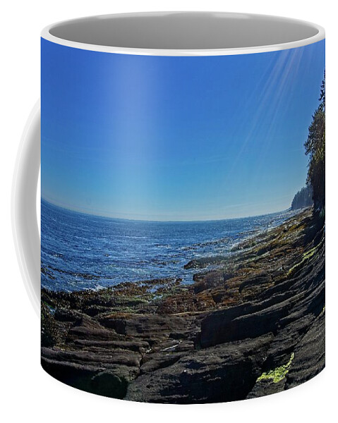 Blue Coffee Mug featuring the photograph Rocky Shore At Salt Creek by David Desautel