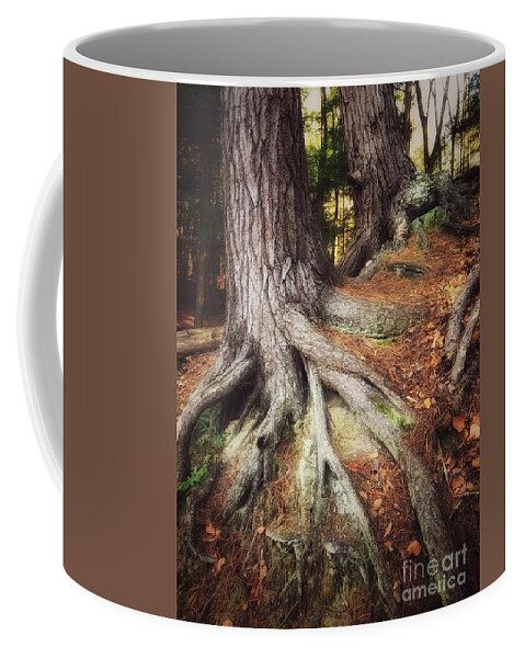 Stroll Woods Tree Roots Copper Pine Needles Forest Green Autumn Coffee Mug featuring the photograph Rooted in the Heart of Copper by Raena Wilson