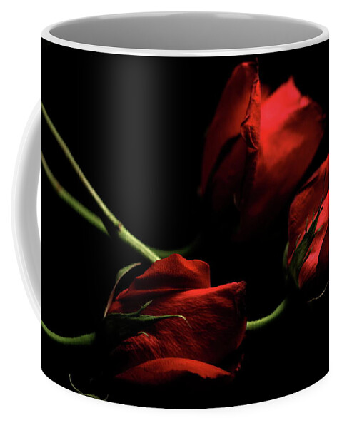 Macro Coffee Mug featuring the photograph Rose 8809 by Julie Powell