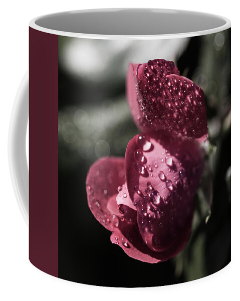 Flower Coffee Mug featuring the photograph Rose by David Beechum