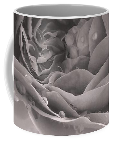 Rose Coffee Mug featuring the photograph Rose Laughs In Full-blown Beauty BNW by Leonida Arte