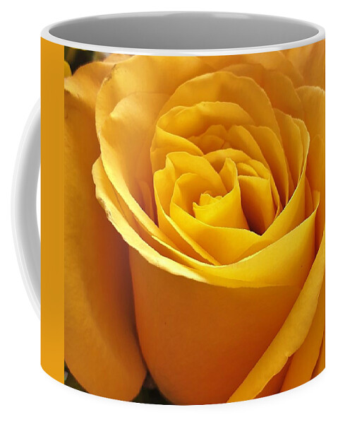 Rose Coffee Mug featuring the photograph Rose Light by Andrea Whitaker