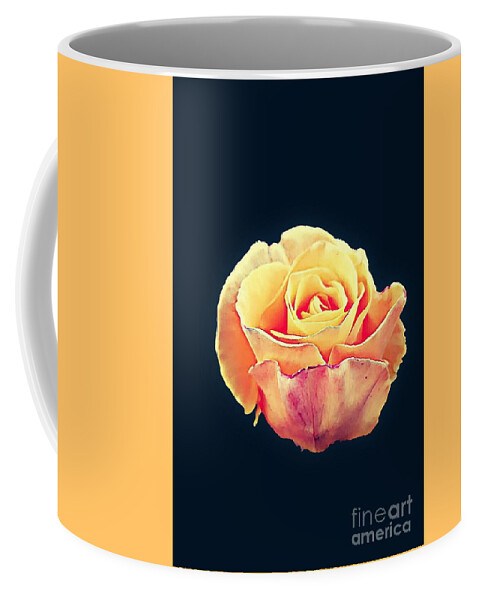 A Single Rose Coffee Mug featuring the photograph Rose Love by Tracey Lee Cassin