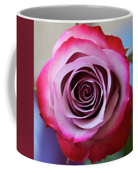 Rose Coffee Mug featuring the photograph Rose Swirl by Mary Anne Delgado