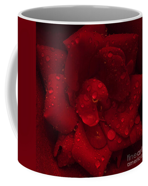 Rose Coffee Mug featuring the photograph Rose with Water Droplets by Patrick Nowotny