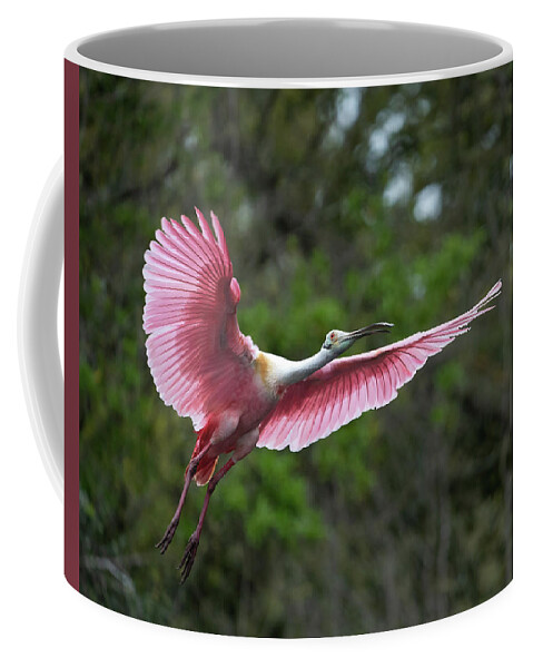  Coffee Mug featuring the photograph Roseate Flight by Jim Miller
