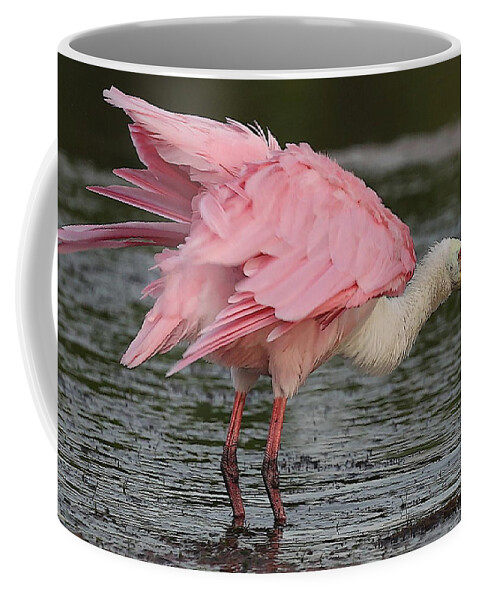 Roseate Spoonbill Coffee Mug featuring the photograph Roseate Spoonbill 14 by Mingming Jiang