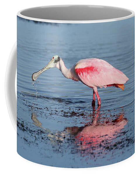 Roseate Spoonbill Coffee Mug featuring the photograph Roseate Spoonbill 15 by Mingming Jiang
