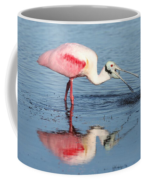 Roseate Spoonbill Coffee Mug featuring the photograph Roseate Spoonbill 17 by Mingming Jiang